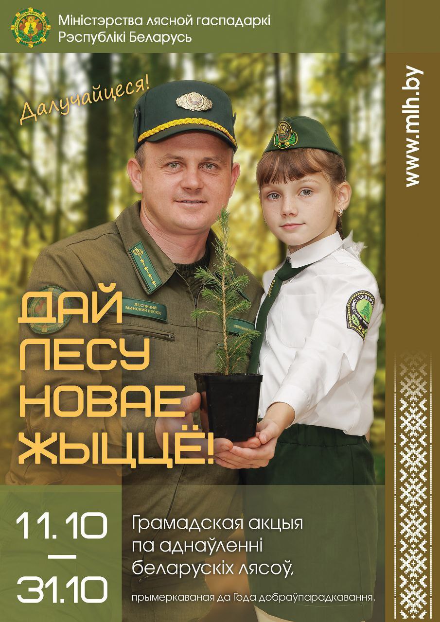 img 20251003 063652 303